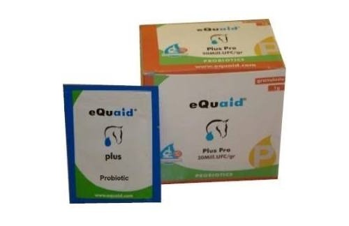 E quaid plus pro probiotic 15 sobres 1 gr