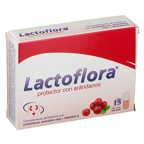 Lactoflora protector con arandanos (15 capsulas)