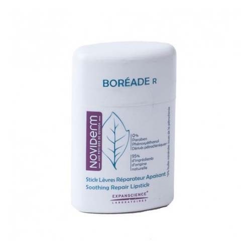 Boreade r stick reparador (1 envase 9,2 g)