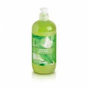 Soivre gel de baño exfoliante te verde (1 envase 500 ml)